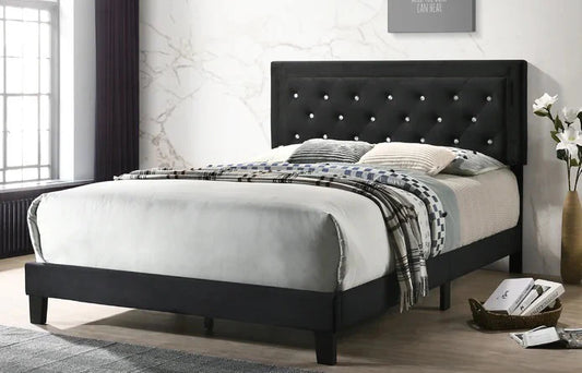 BRISTOL BED