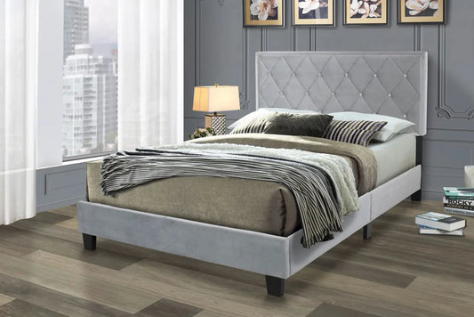 BRISTOL BED